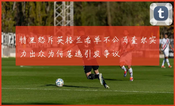 特里怒斥英格兰名单不公马奎尔实力出众为何落选引发争议