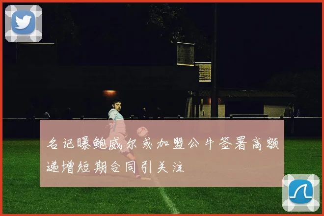 名记曝鲍威尔或加盟公牛签署高额递增短期合同引关注
